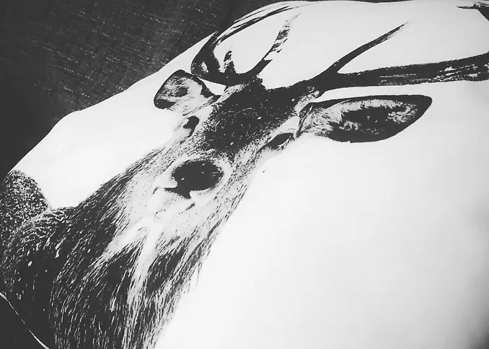 Le Petit Caillebotis * La Rochelle (Charente-Maritime)